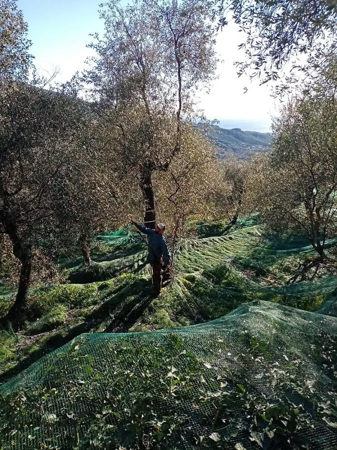 Ferienwohnung Agrisport Ca Di Cuni Roncagli Apartment